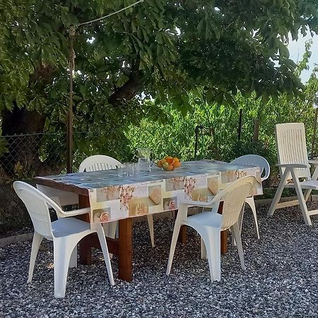 Appartamento Bellavista Castellina Marittima Esterno foto
