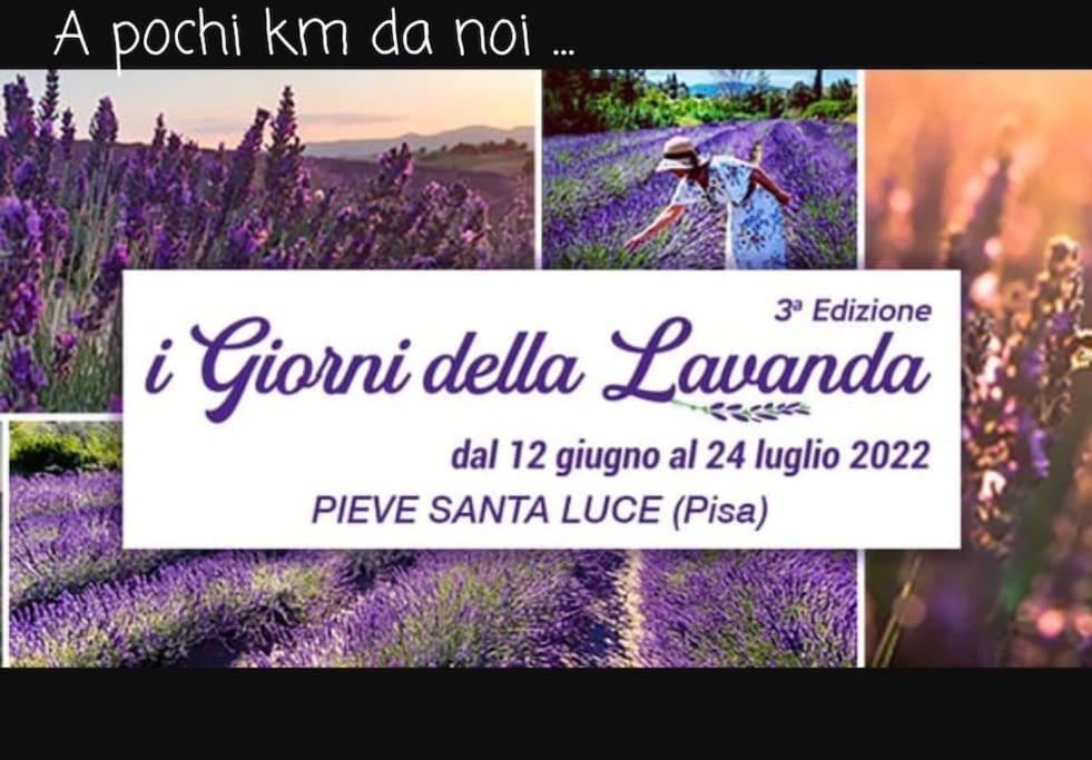 Appartamento Bellavista Castellina Marittima Esterno foto