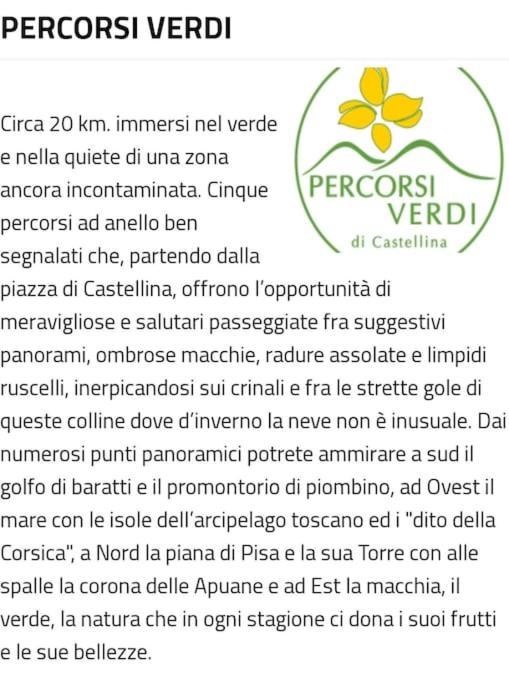 Appartamento Bellavista Castellina Marittima Esterno foto